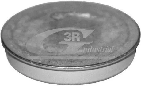 Захисна кришка, маточина колеса 3RG 84702