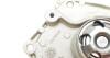 Насос водяний Renault Megane III, Scenic III 1.9dCi 08-, Suzuki Grand Vitara 1.9DDiS 05-15 AIRTEX 1960 (фото 4)