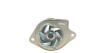 Помпа воды Skoda Fabia/Octavia/Roomster/Seat Ibiza/Cordoba/VW Caddy/Golf/Polo 1.4/1.4 16V 00- AIRTEX 1990 (фото 2)