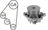 VW К-кт ГРМ (помпа + ремінь + ролик) POLO (6N2) 1.0 99-01, SEAT IBIZA II (6K1) 1.0 i 96-02 AIRTEX WPK-1582R01 (фото 1)