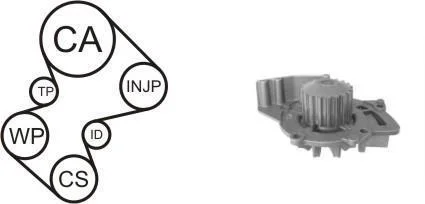 Ремкомплект ГРМ (ремінь+ролики+помпа) Citroen C5, Peugeot 406 2.2HDI 00-> (DAYCO-) AIRTEX WPK-169002