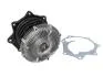 Насос охолоджуючої рідини AISIN WPN-054A (фото 1)