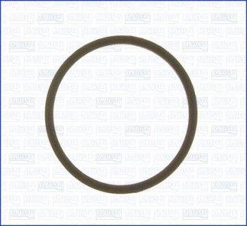 Прокладка термостата 1.4MPI 16V, 1.6MPI 16V Opel Astra G 98-05, Opel Vectra B 95-02, Opel Combo B 94-01 AJUSA 00522900