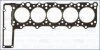 Прокладка головки циліндра AJUSA 10080100 (фото 1)