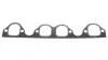 Прокладка впускного колектора VOLKSWAGEN GOLF,PASSAT,POLO, AUDI 80 1.9 AJUSA 13075700 (фото 1)