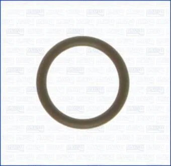 Кільце ущільнююче турбіни RENAULT MEGANE 1.5dCi 07-, KANGOO 1.5dCi 08- NISSAN QASHQAI 1.5dCi 08-13 (дв.K9K) AJUSA 16010800