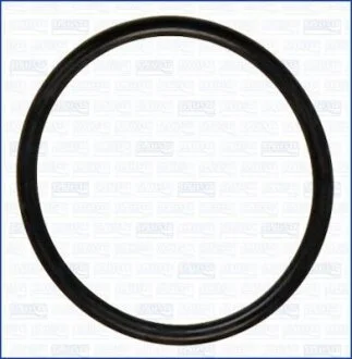 Прокладка впускного коллектора AJUSA 16022700