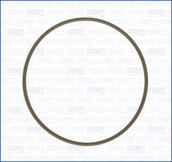 Ущільнююче кільце вакуумного насоса (53X2mm) BMW 5/7/X5 AJUSA 16031100