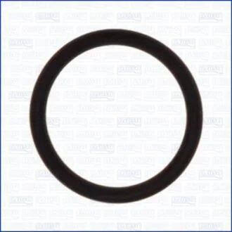 BMW Ущільнювальне кільце AJUSA 16082500