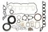 Повний комплект прокладок двигуна(все) 51021200