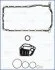 Комплект прокладок, блок-картер двигателя 54079700