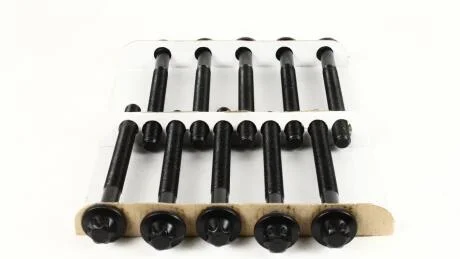 Набір болтів кріплення головки блоку NISSAN,OPEL Vivaro, Movano, RENAULT Master, Trafic. AJUSA 81031600