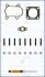 Комплект прокладок турбіни RENAULT Master II 97-10, FIAT Ducato 94-02, JEEP Grand Cherokee 98-04, IVECO Daily E2 96-99 AJUSA JTC11015 (фото 1)