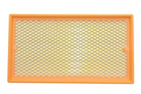 Фільтр повітряний (з сіткою)Ford Focus I 98-04, Tourneo Connect 02-, Transit Connect 02- (Альфа) Альфа ALPHA FILTER AF1616S