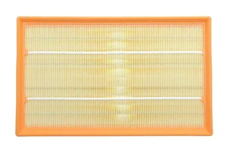 Фільтр повітряний VW T5 03- ALPHA FILTER AF1656