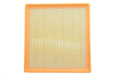 Фільтр повітряний RENAULT TRAFIC 2.5 DCI 03- ALPHA FILTER AF1829S