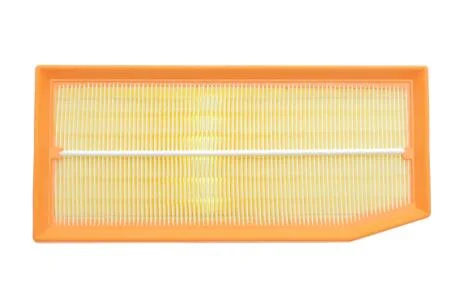 ЕФ повітряний ALPHA FILTER AF1865