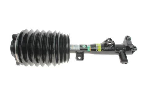 Пневматична амортизаційна стійка ARNOTT AS-3896