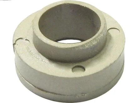 Фото 1 - ремкомплект стартера (деталі стартера, заглушки, шайби) AS-PL ARS2017 Ремкомплект стартера (деталі стартера, заглушки, шайби) AS-PL ARS2017 (фото 1)