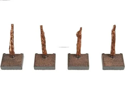 Фото 1 - щітки стартера (15,9x4,5x12,2mm/12 V) STANDARD LINE AS-PL BSX210-211 Щітки стартера (15,9x4,5x12,2mm/12 V) STANDARD LINE AS-PL BSX210-211 (фото 1)