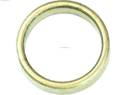 Фото 1 - втулка стартера Citroen Berlingo C-Elysee C1 C3 C4 C5 Jumpy Nemo Xsara AS-PL SBU9025 Втулка стартера Citroen Berlingo C-Elysee C1 C3 C4 C5 Jumpy Nemo Xsara AS-PL SBU9025 (фото 1)