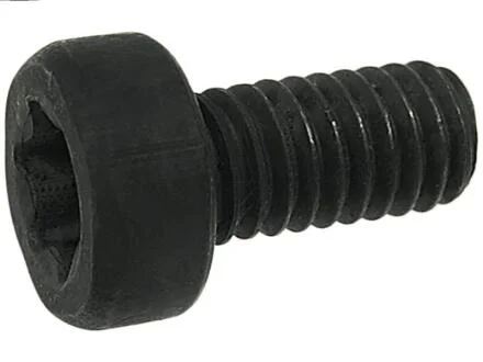 Болт з головкою системи TORX з чорного металу AS-PL SP3022S(BULK)