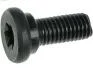 Болт з головкою системи TORX з чорного металу AS-PL SRS3060S (фото 1)