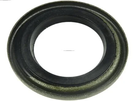 Стартерна шайба MI,CG237101 AS-PL SRS5013