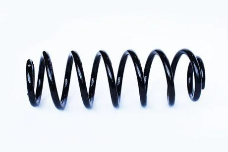 VW пружина задня Golf V 03- ASAM 73770