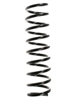 Пружина підвіски задня BMW 5 (E39) 525 D (00-03) ASAM 75883