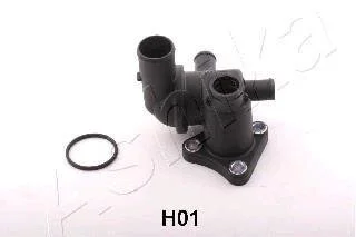 Термостат, охолоджувальна рідина ASHIKA 1250HH01