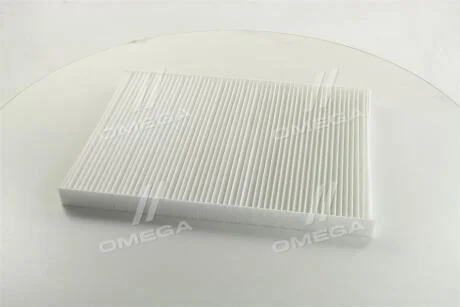 Фільтр салону Chrysler Voyager/Grand Voyager 00-08 ASHIKA 21-CH-CH0