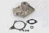 Насос охолоджувальної рідини, охолодження двигуна ASHIKA 3503310 (фото 1)