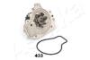 Водяна помпа Honda Civic VI, CRX III, INTEGRA 1.6/1.8 03.92-10.01 ASHIKA 3504433 (фото 2)
