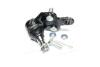 Опора кульова передн. лів. TOYOTA CAMRY V30/PREVIA 00- ASHIKA 7302208L (фото 1)