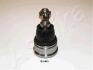 Кульова опора передня нижня Honda Accord CG, CH, CL, CM 98- / Civic 03- ASHIKA 7304403 (фото 1)