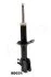 Амортизатор ASHIKA MA-80031 (фото 1)