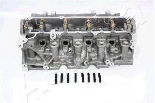 Головка цилиндра ASHIKA NS013S