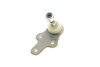 Опора шаровая (передняя/снизу) Ford Focus II 1.4-2.0TDCi 04-12/C-Max 07-10/Volvo C30/C70/S40 04- ASMETAL 10FR1706 (фото 6)