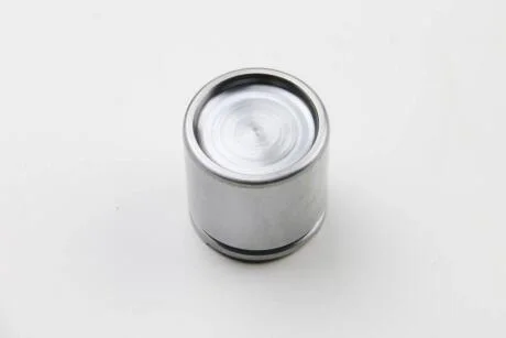 Поршень супорта AUTOFREN D0 25315 (фото 1)