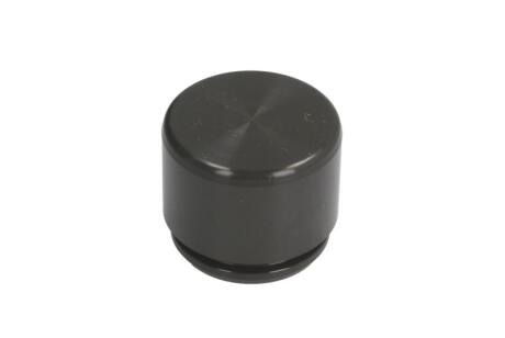Поршень супорта перед Audi A6/Q7/Touareg 02-10 38x31,6 AUTOFREN D0-25368