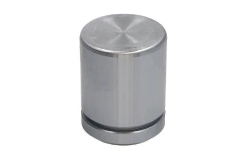 Поршень супорта AUTOFREN D0-25386