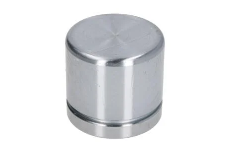 Поршень супорта AUTOFREN D0-25491