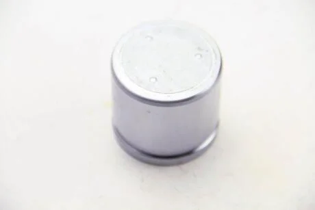 Поршень супорта гальмівного AUTOFREN D0-2553