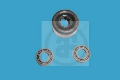 Ремкомплект раб.торм.цил.зад. Ford Transit диам.20.6 AUTOFREN D3-307