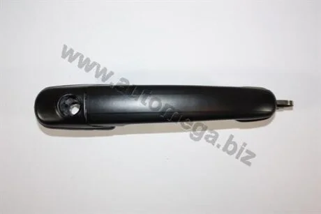 Ручка дверей AUTOMEGA 100022110