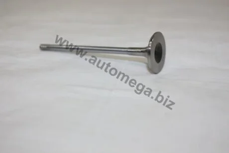 Запобіжний клин клапана AUTOMEGA 130097310
