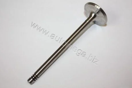 Впускний клапан AUTOMEGA 130107110