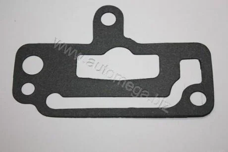 Прокладка фланця охолодження AUTOMEGA 190054510