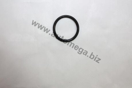 Прокладка слива поддона Opel Corsa C, Vectra C AUTOMEGA 190064810
